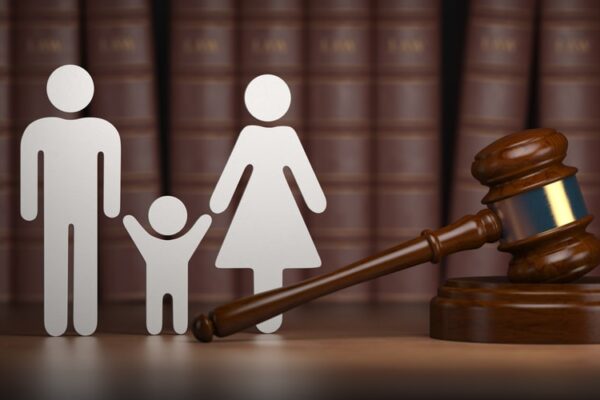 Criminal Charges And Child Custody